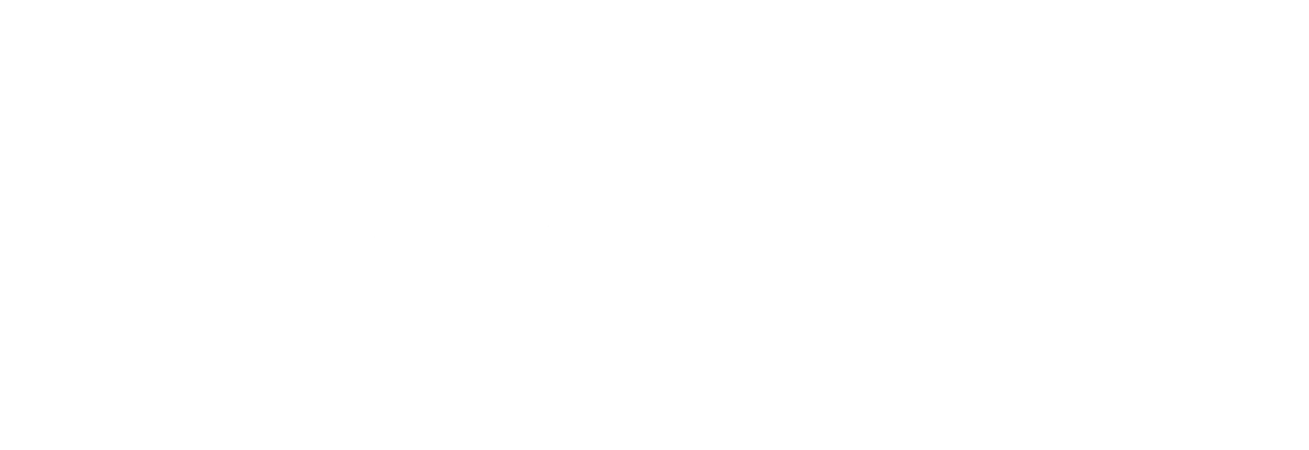 American Newspaper Solutions